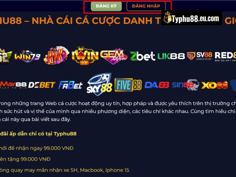 Ảnh minh họa kênh hỗ trợ Typhu88